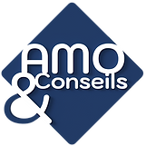 logo-amo-conseils